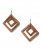 Venus Wood Earrings in Brown